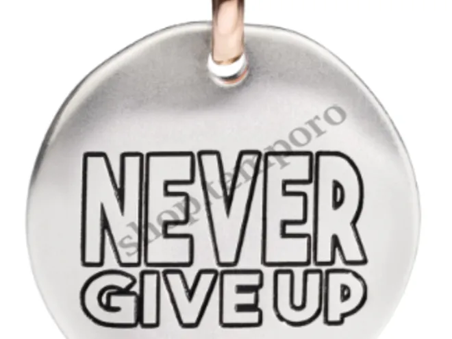 NEVER GIVE UP QUERIOT