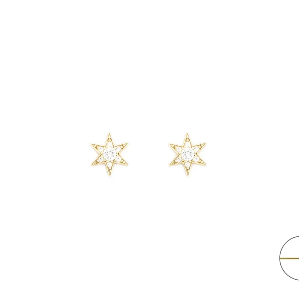 Orecchini donna Paciotti 4UOR7707W