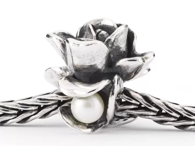 Trollbeads Rosa Di Giugno