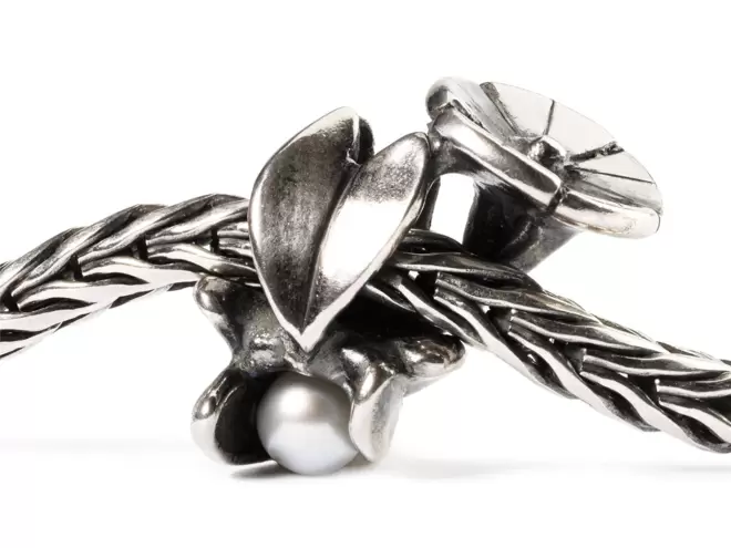 Trollbeads Convolvolo Di Settembre