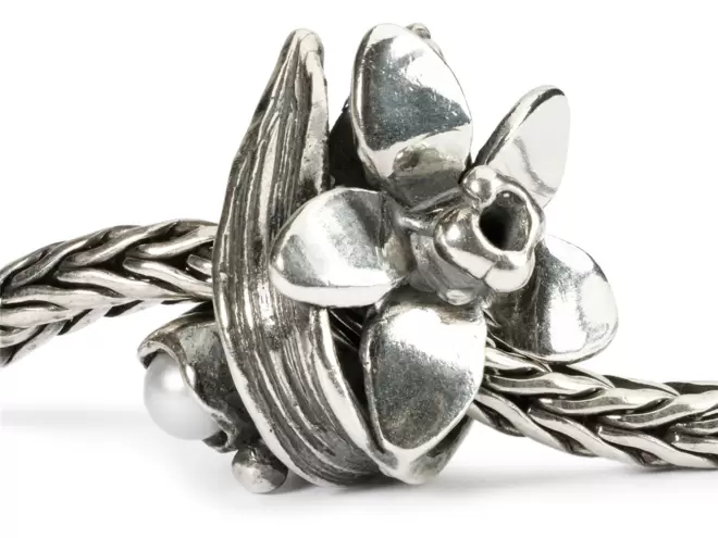 Trollbeads Narciso Di Dicembre