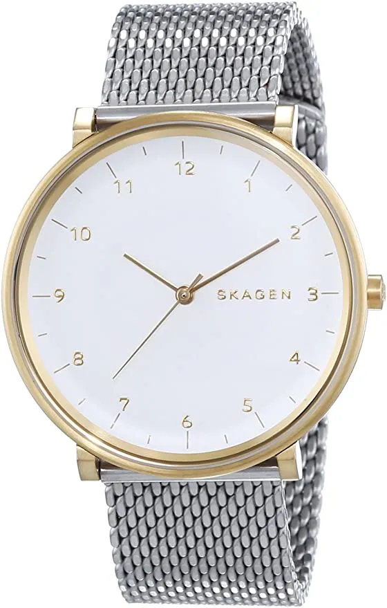 SKAGEN SKW6170 Orologio Uomo in Acciaio Hald