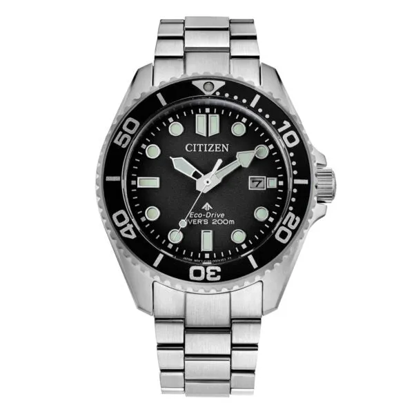 Promaster Diver