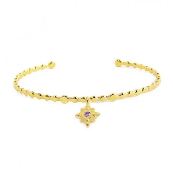 Bracciale Rigido Rosa Dei Venti Pendente Con Zircone Viola
