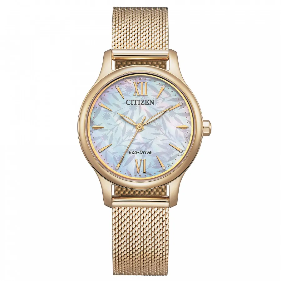 Citizen Lady EM0892-80D