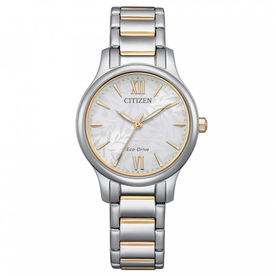 Citizen Lady EM0895-73A