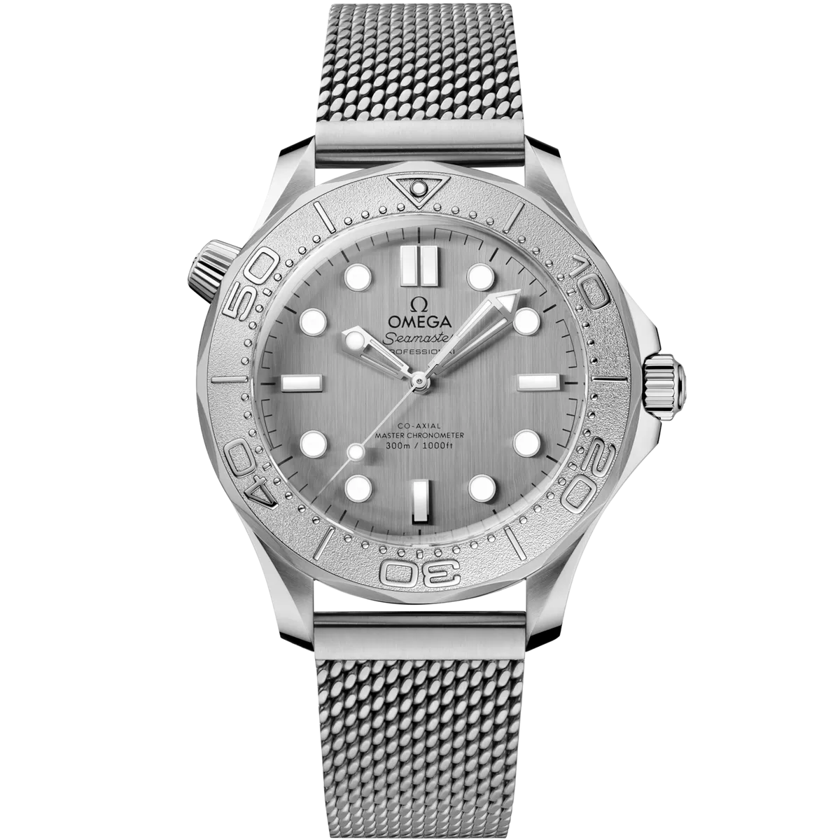 Seamaster Diver 300M