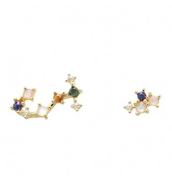 Orecchini in argento Zodiac " SCORPIONE" AR01-409-U